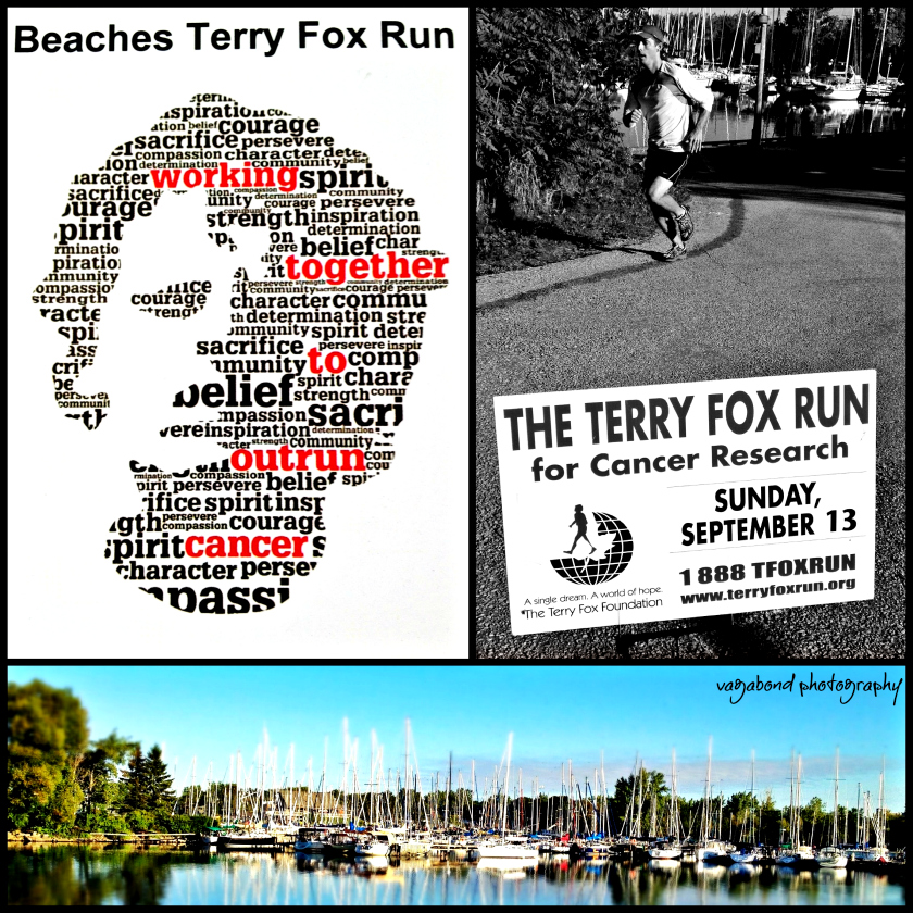 “Somewhere the Hurting Must Stop” – Terry Fox