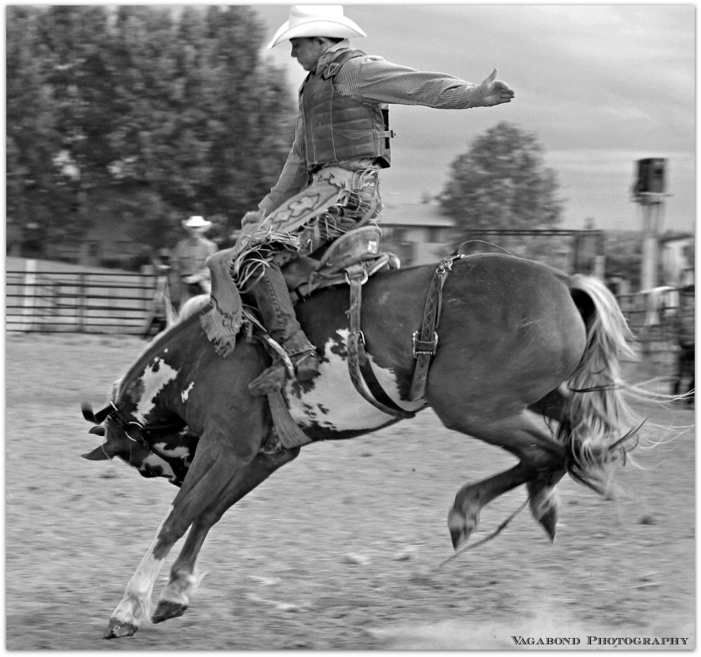 “Courage is being scared to death and saddling up anyways.” – John Wayne